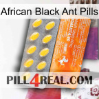 African Black Ant Pills new05